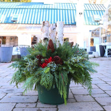 Load image into Gallery viewer, Holiday Drop-in Liner 14in Birch & Boughs