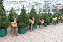 Load image into Gallery viewer, Rudi's Cutie 30" Large Log Reindeer