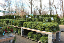 Load image into Gallery viewer, Balsam Wreath 60"