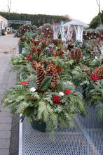 Load image into Gallery viewer, Xmas 12in Mixed Container Liner Dancing Pinecones