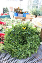 Load image into Gallery viewer, Wreath Boxwood Handmade 16-20in
