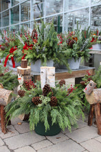 Load image into Gallery viewer, Holiday Drop-in Liner 14in Birch & Boughs