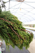 Load image into Gallery viewer, Evergreen Bunch Incense Cedar