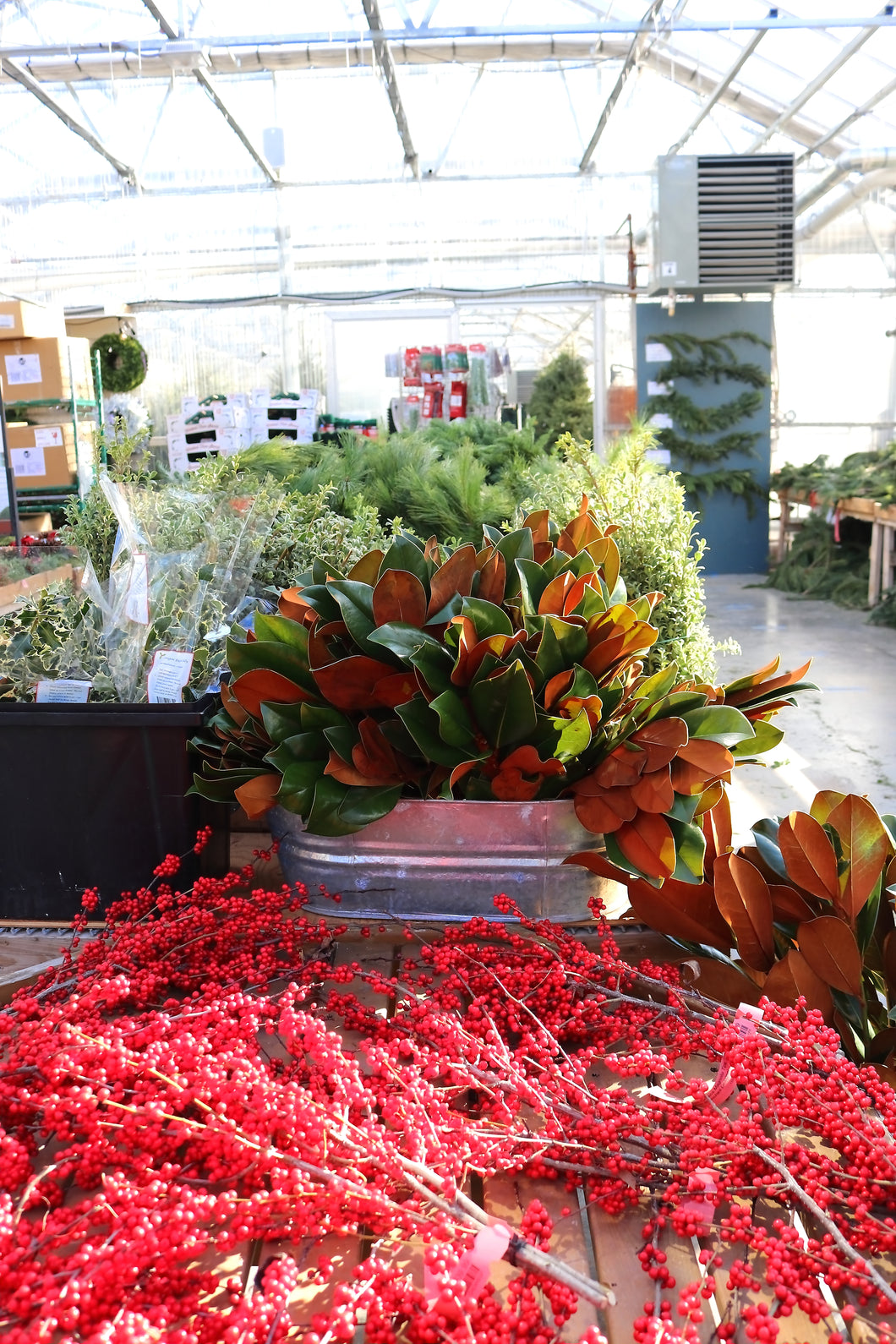 Winterberry Stem Cut Premium