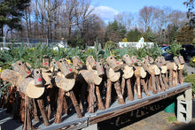 Load image into Gallery viewer, Rudi&#39;s Cutie 30&quot; Large Log Reindeer
