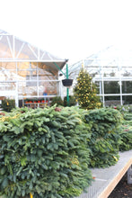 Load image into Gallery viewer, Wreath Noble Fir Mix 48-56in
