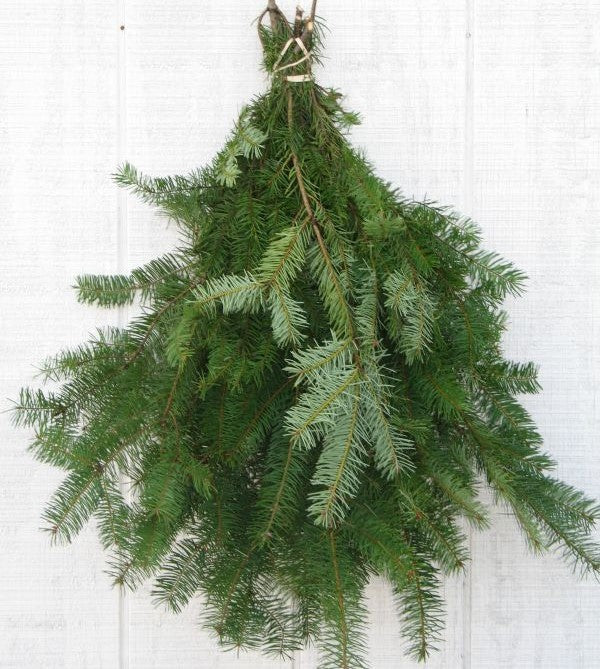 Xmas Greens Douglas Fir Bunch