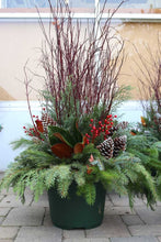 Load image into Gallery viewer, Xmas 14in Mixed Container Liner Redtwig Tidings
