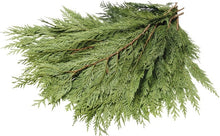 Load image into Gallery viewer, Evergreen Bunch Western Cedar
