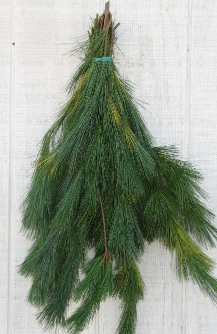 Xmas Greens White Pine