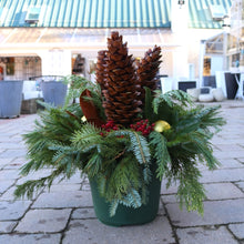 Load image into Gallery viewer, Holiday Drop-in Liner 12in Dancing Pinecones
