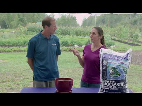 Coast of Maine Organic Monhegan Blend Topsoil 1 Cubic Foot Bag