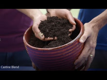 Load and play video in Gallery viewer, Coast of Maine Organic Castine Blend Raised Bed Mix 2 Cubic Foot Bag
