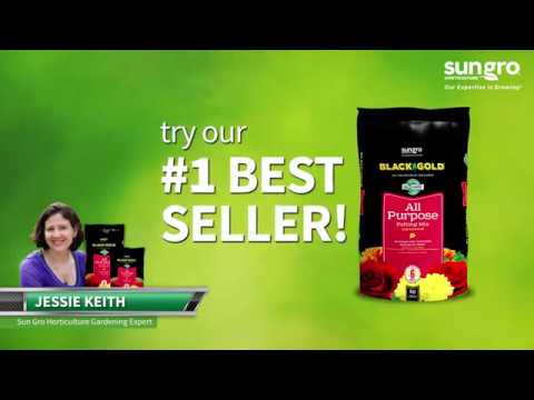 Black Gold All Purpose Potting Mix 2 Cubic Foot Bag