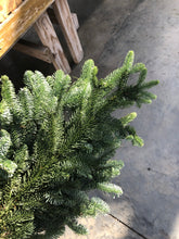 Load image into Gallery viewer, Evergreen Bunch Noble Fir
